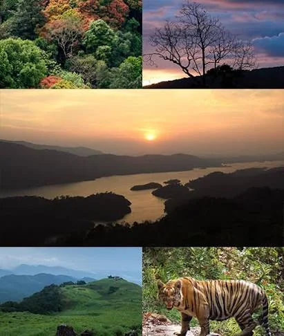 Vellari Mala