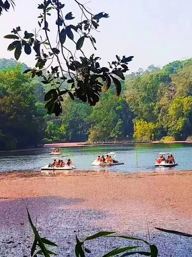 Pookode Lake